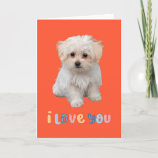 Tarjeta de cachorro lindo, te amo, tarjeta de cach
