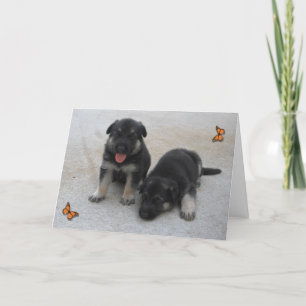 Tarjeta de cachorros Adorable