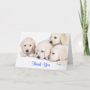 Tarjeta de cachorros de Labrador Retriever que te