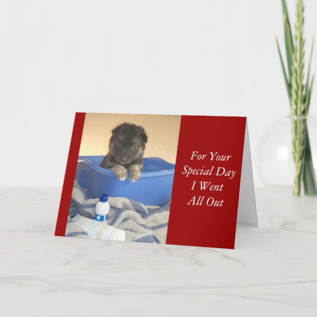Tarjeta de cachorros de tiempo de baño (Anverso)