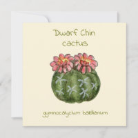 Tarjeta de cactus de barbilla enana