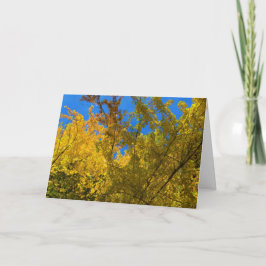 Tarjeta de Caída y Acción de Gracias 3