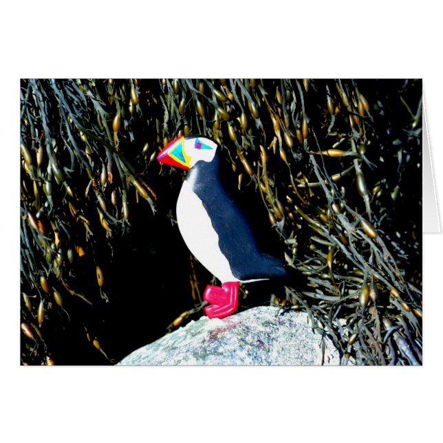 Tarjeta de calabaza atlántica (Anverso (Horizontal))