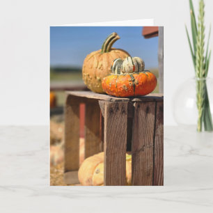 Tarjeta de calabaza y calabacín