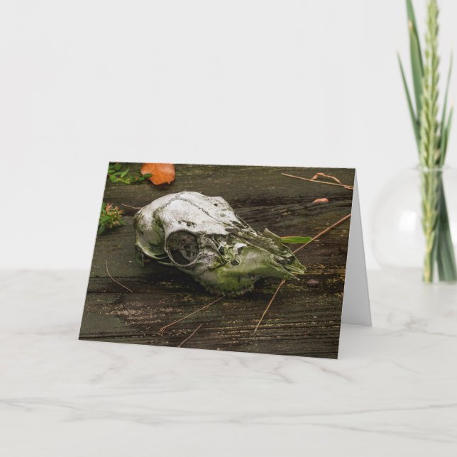 Tarjeta de calavera de ciervo (Anverso)