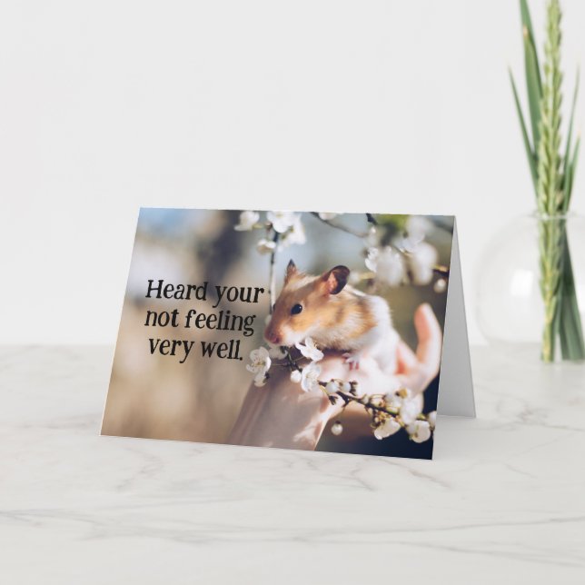 Tarjeta de calidad de Hamster Child (Anverso)