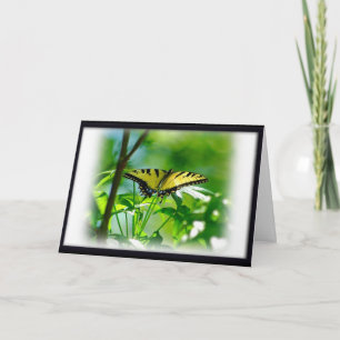 Tarjeta de calidad de mariposa