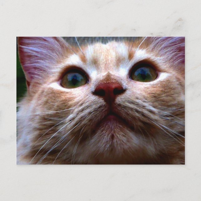 Tarjeta de cambio de dirección (Anverso)