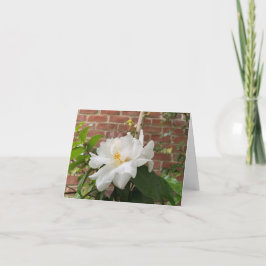 Tarjeta de camelia (en blanco)