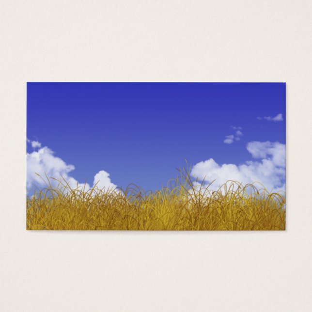 Tarjeta de campo (Frente)