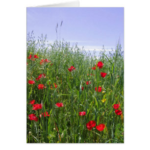 Tarjeta de campo de disquete