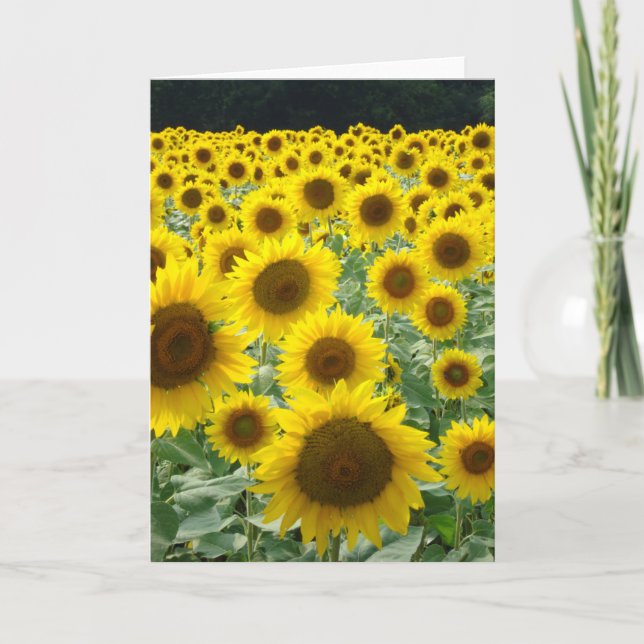 Tarjeta de campo girasol (Anverso)
