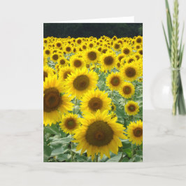 Tarjeta de campo girasol