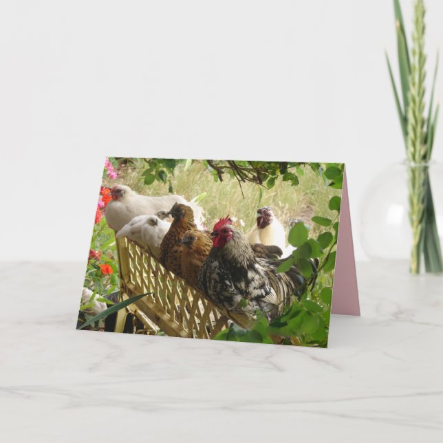 Tarjeta de campo para gallos y gallinas Chook Farm (Anverso)