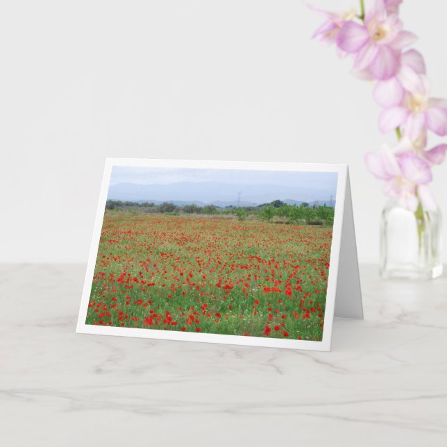 Tarjeta de campo Red Poppy (Orquídea)