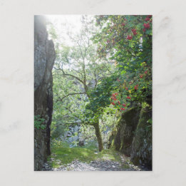 Tarjeta de cantera Rowan Tree Tilberthwaite