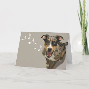 Tarjeta de canto de Catahoula por foco por causa