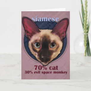 Tarjeta de cara del gato siamés