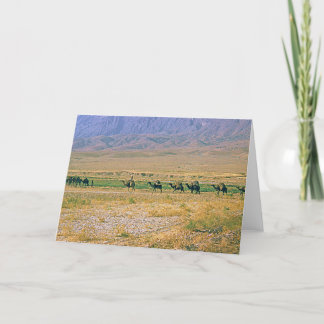 Tarjeta de caravana de camello