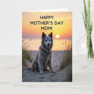 Tarjeta de Cariño para Perro al Atardecer