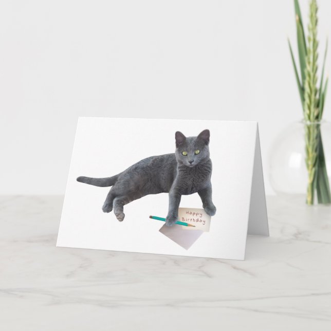 Tarjeta de carta de cumpleaños Gray Cat Happy (Anverso)