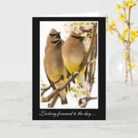 Tarjeta de cartas para los pájaros cedros