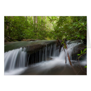 Tarjeta de cataratas ocultas