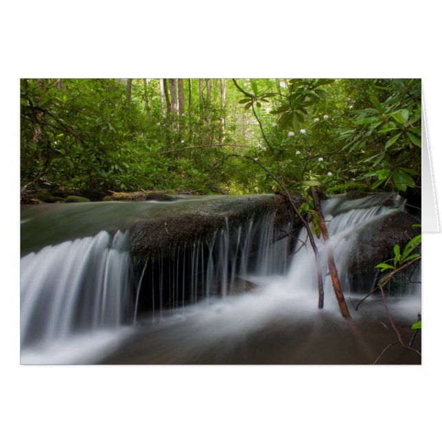 Tarjeta de cataratas ocultas (Anverso (Horizontal))