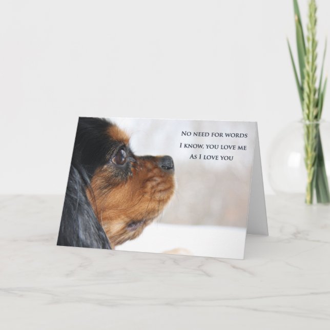 Tarjeta de Cavalier King Charles Spaniel 'Te Amo' (Anverso)