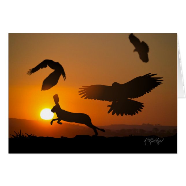 tarjeta de caza de halcones de Harris (Anverso (Horizontal))