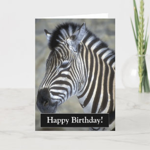 Tarjeta de cebra de cumpleaños feliz