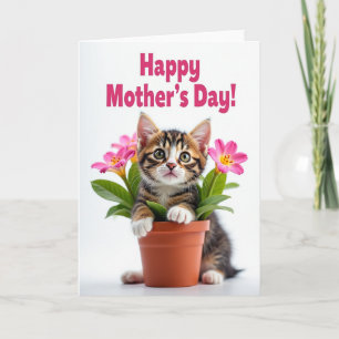 Tarjeta de Celebración de Gatito Rayado
