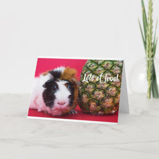 Tarjeta de cerdo de Guinea dulce