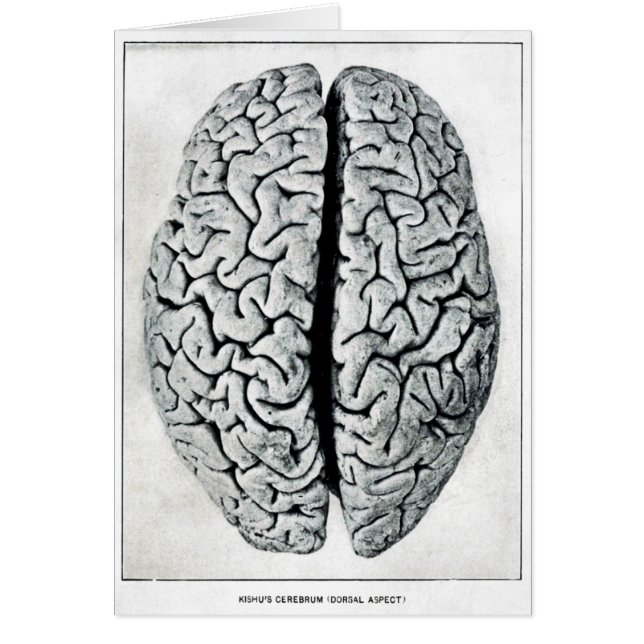 Tarjeta de cerebro vintage (Frente)