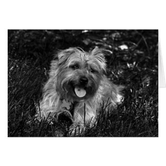 Tarjeta de chico feliz