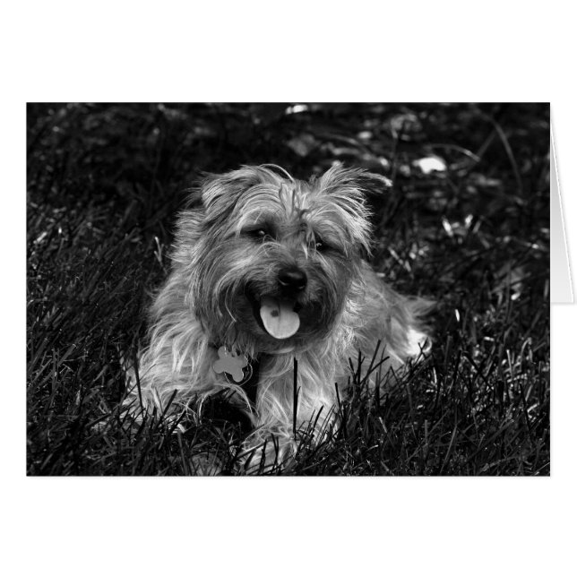 Tarjeta de chico feliz (Anverso (Horizontal))