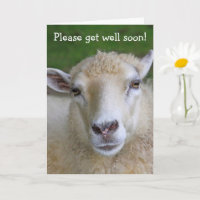 Tarjeta de Chiste de oveja Pun Get Well