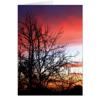 Tarjeta de cielo rojo de silueta de árbol de arte 