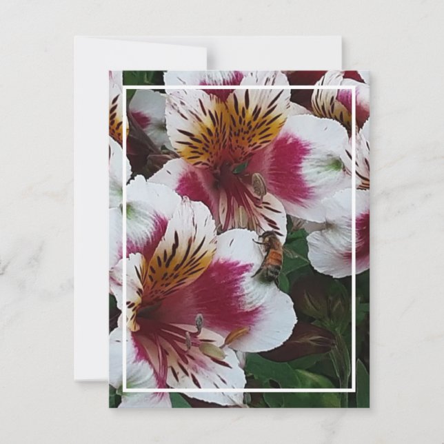 Tarjeta de cierre de abejas y alstromerias (Anverso)