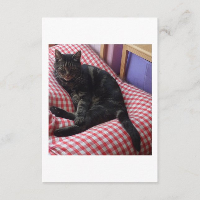 Tarjeta de cierre de Dave Cute (Anverso)