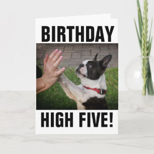 TARJETA DE CINCO DIVERSIONES DEL PERRO DE CUMPLEAÑ
