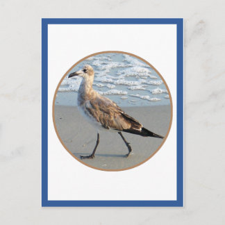 Tarjeta De Círculo Marítimo Para Pasear Aves