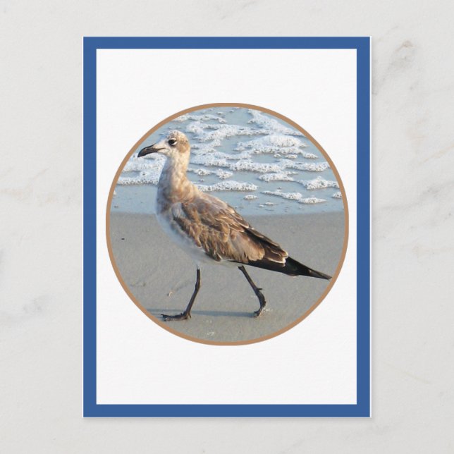 Tarjeta De Círculo Marítimo Para Pasear Aves (Anverso)