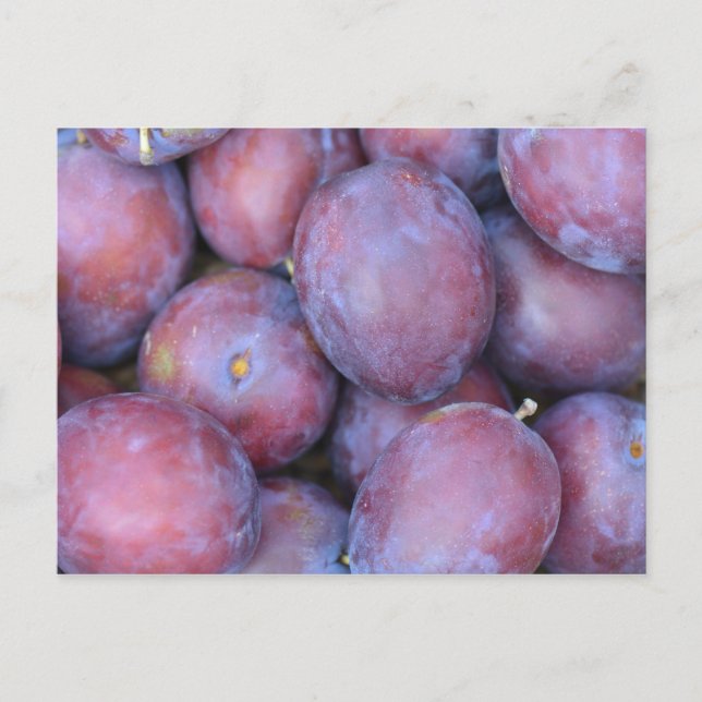 Tarjeta de ciruelas (Anverso)