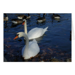 Tarjeta de cisne sonriente