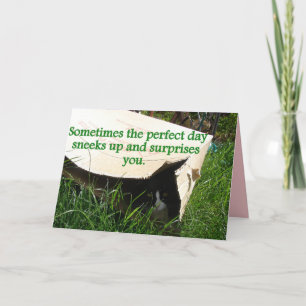 Tarjeta de cita del gato esmoquin escondiendo un d