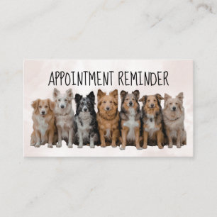 Tarjeta de cita para paseador de perros / cuidador