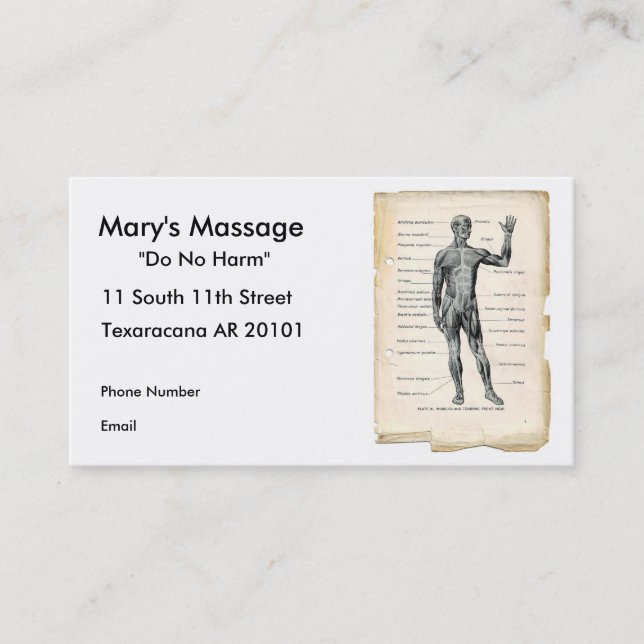 Tarjeta De Citas Anatomía anterior (Anverso)