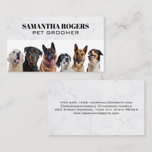 Tarjeta De Citas Diferentes perros sentados