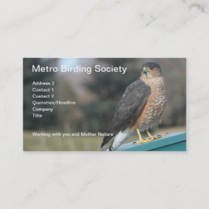 Tarjeta De Citas Foto de Cooper's Hawk